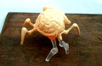 Brain Bug | 3D