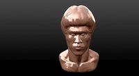 BRUCE LEE BUST | 3D