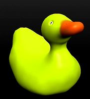 Ducky | 3D