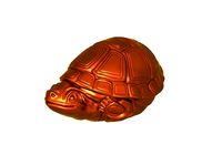 tortoise | 3D