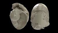 Kylo Ren - Hermit crab shell | 3D
