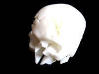 Rotating Skull Gear | 3D