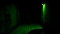 Dark Green Hallway | 3D