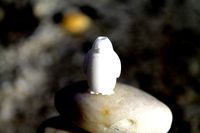 Penguy | 3D