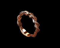 Twisted Ring | 3D
