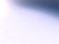 Vase quadratic stumpy with huge plates | 3D