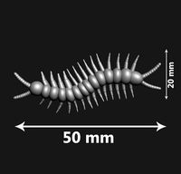 Centipede for 3d print | 3D