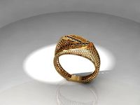fission ring | 3D