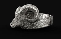 Bighorn Sheep Ring  | 3D