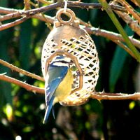 Bird feeder | 3D