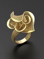 Ultra vision Ring STL 3d model for 3d printing 0010 | 3D