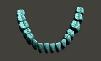 Digital Teeth | 3D