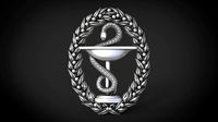 Snake and bowl  | 3D
