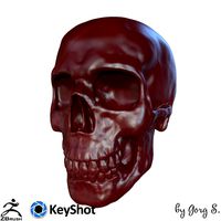 SKULL 2 3D PRINT | 3D
