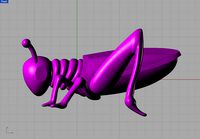grasshopper | 3D