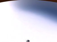 Vase curved hourglass with intertwining lines tapered | 3D