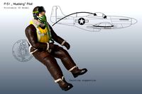 P-51 Mustang Pilot | 3D