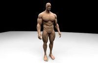 Human Body | 3D