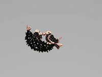 bird nest pendant 49 | 3D