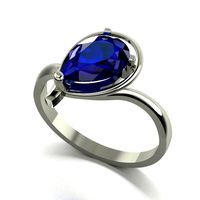 Ring 0013 | 3D