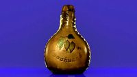 Leather Bottle | 3D