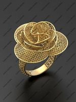 Ultra vision Ring STL 3d model for 3d printing 0027 | 3D