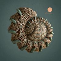 Martian Shell Aranea | 3D