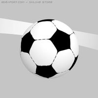 Soccer ball 3D Model