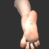 Foot