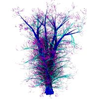 Trees-III