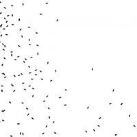 Termites - boid particles