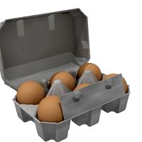Eggs Box rigged