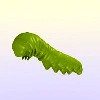 Caterpillar
