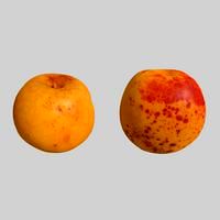 2x apricots