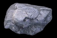 Volcanic Rock V19