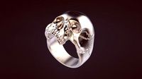 Skull ring1 | 3D