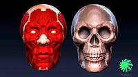 Head Skull and Muscles - Retopolized Sculpt Zbrush and 3ds max