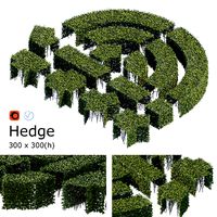 Hedge 300x300