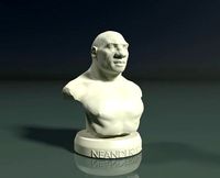 Neanderthal Bust | 3D