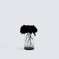 Plum Peony