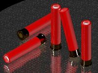 4-10 Shotgun pistol shell