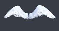 Lowpoly angel wings