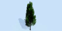 Lowpoly 3Dmodel tree VR AR game 3LOD number6