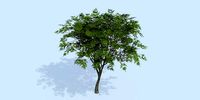 Lowpoly 3Dmodel tree VR AR game 3LOD number63