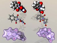 Thalidomide R- and S- enantiomer molecules