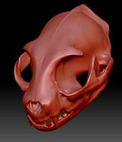 Cat Skull Zbrush Sculpture