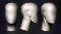 FREE Head Sketch BaseMesh