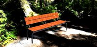 Bench Daphne