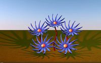 space flower