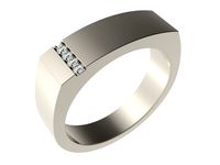 Ring 0090 | 3D